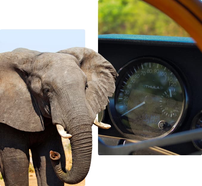 Built for durability and reliability