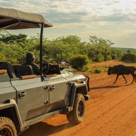 Electric safari vehicle on game drive